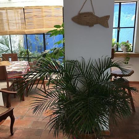 Casa Molcajete Daire Meksika Dış mekan fotoğraf